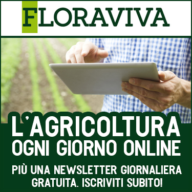 375x375 floraviva nl notizie